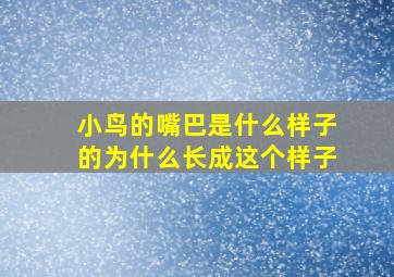 小鸟的嘴巴是什么样子的为什么长成这个样子