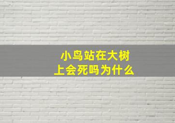 小鸟站在大树上会死吗为什么