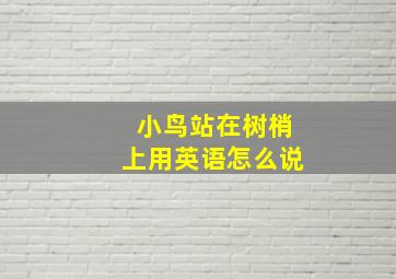 小鸟站在树梢上用英语怎么说