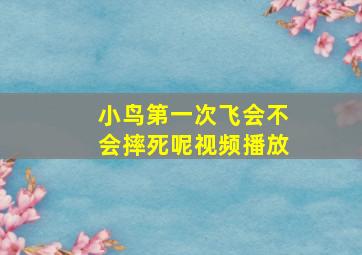 小鸟第一次飞会不会摔死呢视频播放