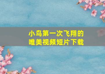 小鸟第一次飞翔的唯美视频短片下载