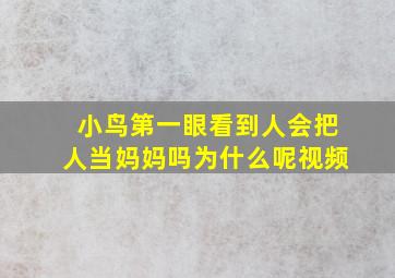 小鸟第一眼看到人会把人当妈妈吗为什么呢视频