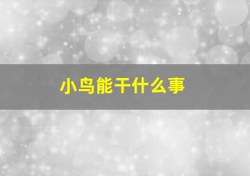 小鸟能干什么事