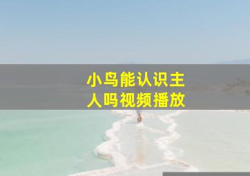 小鸟能认识主人吗视频播放