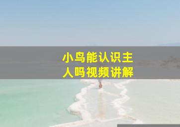 小鸟能认识主人吗视频讲解