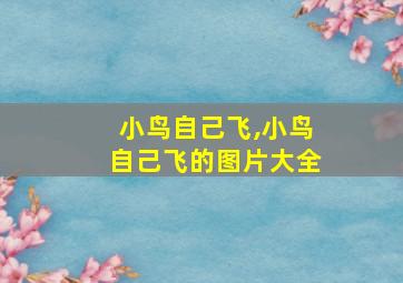 小鸟自己飞,小鸟自己飞的图片大全