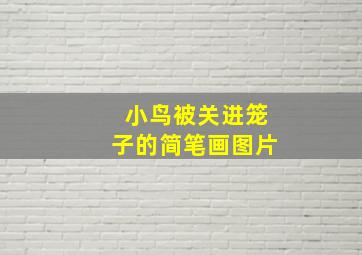 小鸟被关进笼子的简笔画图片