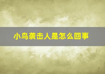 小鸟袭击人是怎么回事