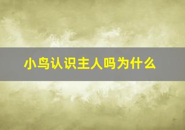 小鸟认识主人吗为什么