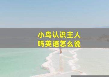 小鸟认识主人吗英语怎么说