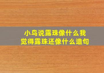 小鸟说露珠像什么我觉得露珠还像什么造句