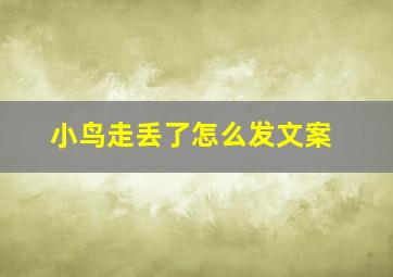 小鸟走丢了怎么发文案