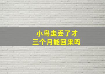 小鸟走丢了才三个月能回来吗