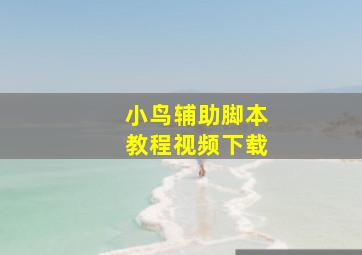 小鸟辅助脚本教程视频下载