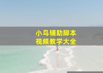 小鸟辅助脚本视频教学大全