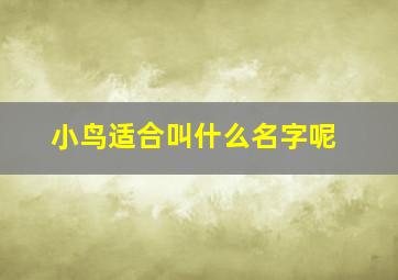 小鸟适合叫什么名字呢