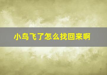 小鸟飞了怎么找回来啊