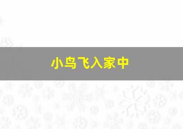 小鸟飞入家中