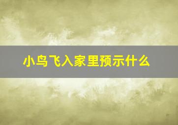 小鸟飞入家里预示什么