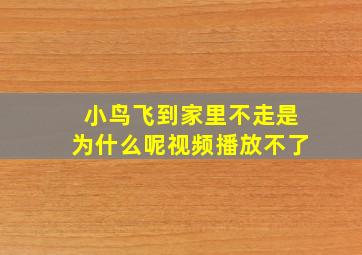 小鸟飞到家里不走是为什么呢视频播放不了