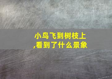 小鸟飞到树枝上,看到了什么景象