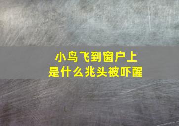 小鸟飞到窗户上是什么兆头被吓醒