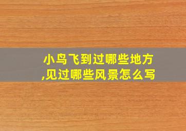 小鸟飞到过哪些地方,见过哪些风景怎么写