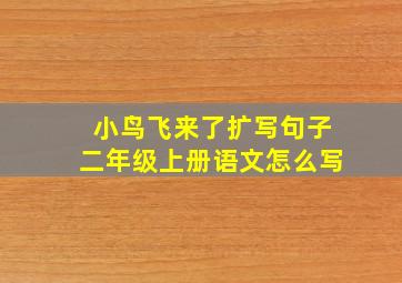 小鸟飞来了扩写句子二年级上册语文怎么写