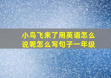 小鸟飞来了用英语怎么说呢怎么写句子一年级