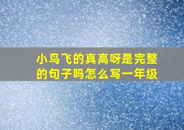 小鸟飞的真高呀是完整的句子吗怎么写一年级