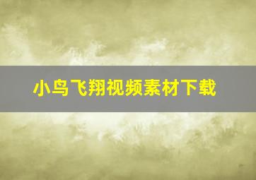 小鸟飞翔视频素材下载