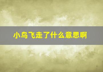 小鸟飞走了什么意思啊