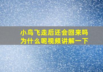 小鸟飞走后还会回来吗为什么呢视频讲解一下