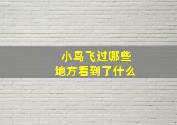 小鸟飞过哪些地方看到了什么