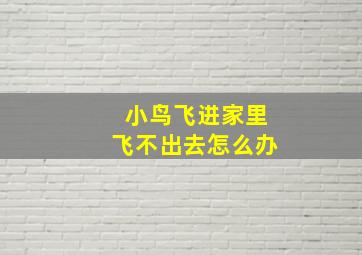 小鸟飞进家里飞不出去怎么办