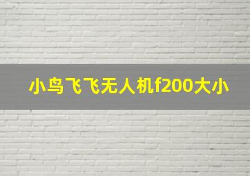 小鸟飞飞无人机f200大小