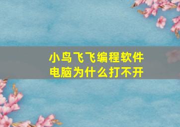 小鸟飞飞编程软件电脑为什么打不开