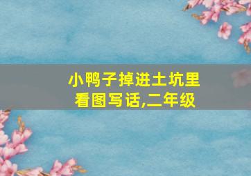 小鸭子掉进土坑里看图写话,二年级