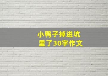 小鸭子掉进坑里了30字作文