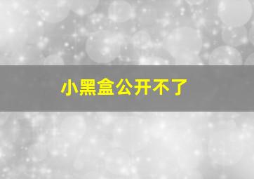 小黑盒公开不了