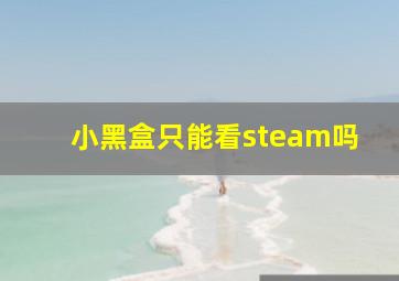 小黑盒只能看steam吗