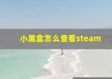 小黑盒怎么查看steam