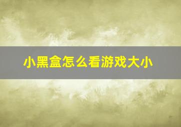 小黑盒怎么看游戏大小