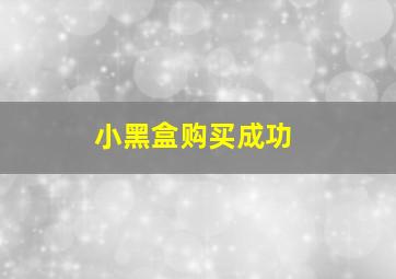 小黑盒购买成功