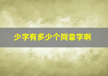 少字有多少个同音字啊