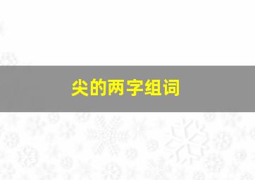 尖的两字组词