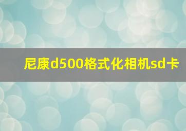 尼康d500格式化相机sd卡