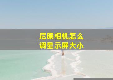 尼康相机怎么调显示屏大小