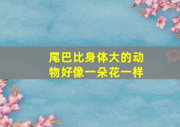 尾巴比身体大的动物好像一朵花一样