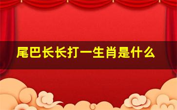 尾巴长长打一生肖是什么